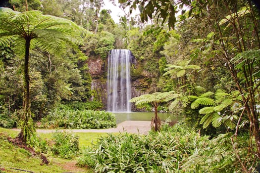 The beautiful tropical Millaa Millaa falls in Queensland, Australia