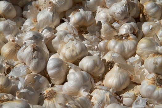 Pile of sunlit garlic cloves at a farmers market