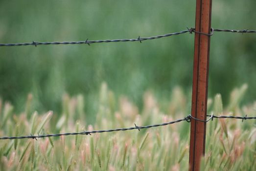 The farming life in Sweden 