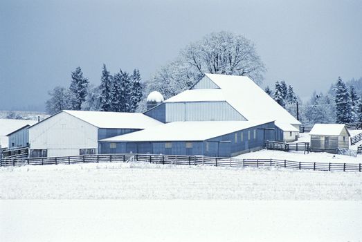 The farming life in Sweden 