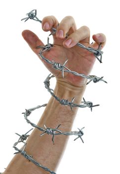 hand holding a barbed wire, isolated on white