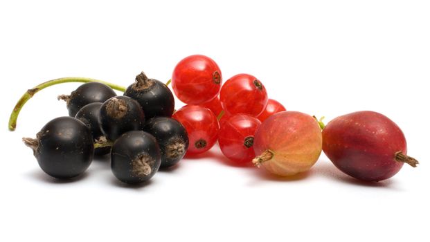 Gooseberries, black and red currants on a white background.