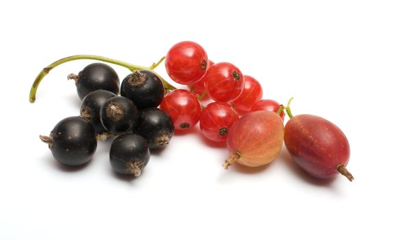 Gooseberries, black and red currants on a white background.