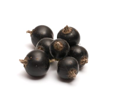 Berries of a black currant on a white background.