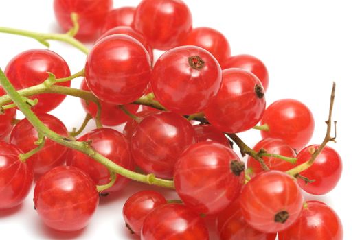 Berries of a red currant on a white background.