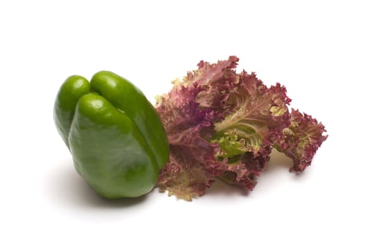 Lettuce and green peppers on a white background.