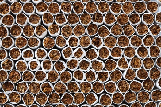 Background made from lot of cigarettes. Extreme closeup