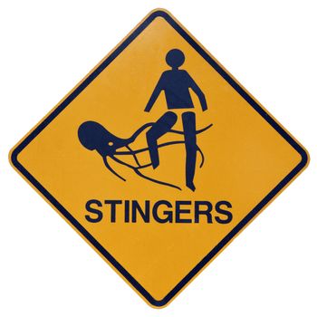 A yellow and black warning sign for dangerous marine stingers or jellyfish in tropical Australia. Isolated on white with clipping path