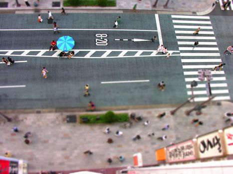 Tokyo nocar zone and pedestrian crossing in Tokyo city