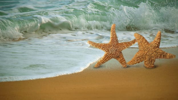 Adorable Star Fish Walking Along the Beach in the Surf