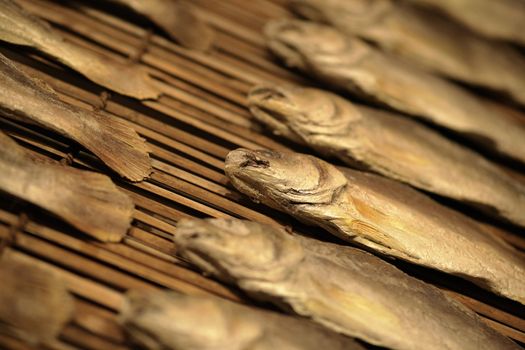 dried salt fish