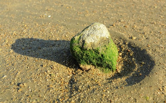 rock on beach