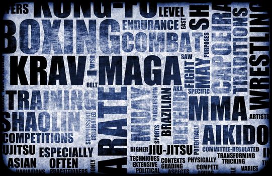 Krav Maga Martial Arts as a Fighting Style