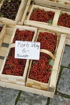 red currant at farmer's market, Sch�bisch Hall, germany