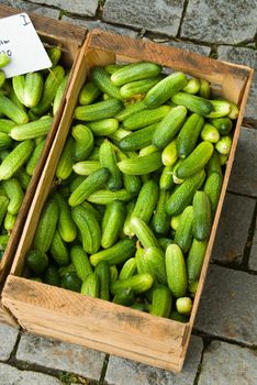 cucumbers in wood crate at farmer's market, Germany