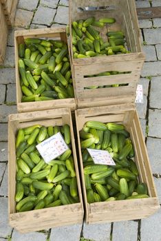 cucumbers at open air farmers market