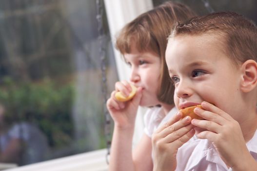 Sister and Brother Having Fun Eating an Apple