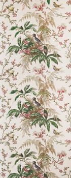 An image of an old bird wallpaper