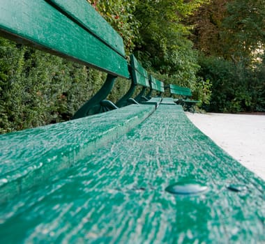 Row of green benches in Bruges park