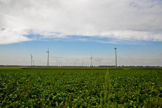 Wind turbines and field