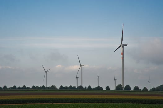 Wind turbines and field