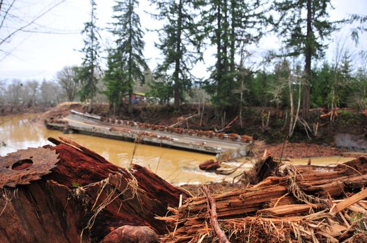 Flood damage west of Chehalis, Wa