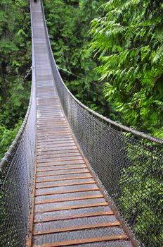 Lynn canyon supension bridge