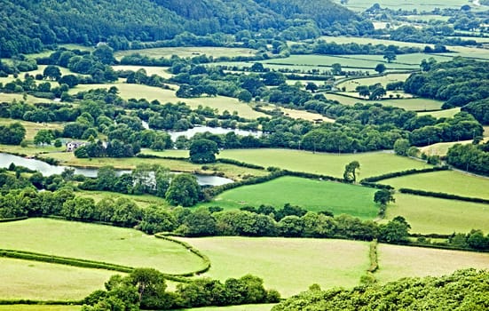 A rural landscape of fields and meadows