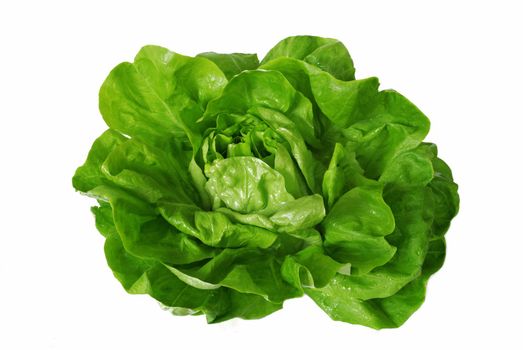 head of green fresh lettuce isolated over white