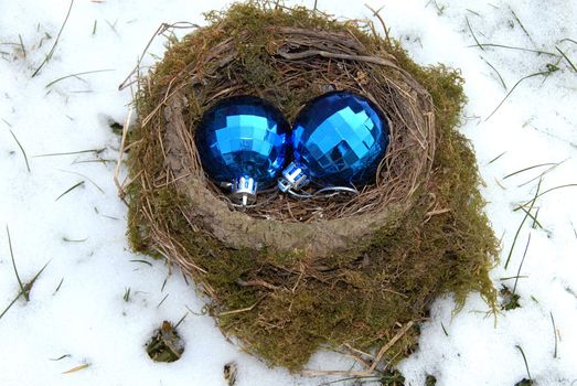 two christmas decorative blue balls in bird nest outdoor at snow