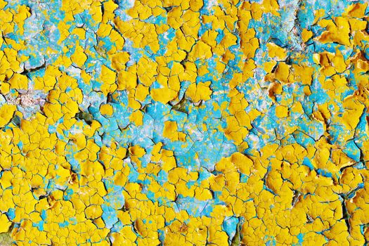 The surface of the cracked paint blue and yellow