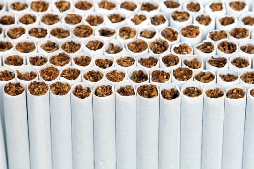 Background made from lot of cigarettes. Extreme closeup