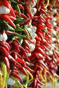 Spices hanging in rows at the market.