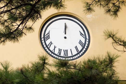 a sun dial on a house with a tree as a border