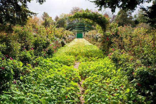 Claude Monet's garden in Giverny France