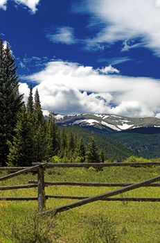 Open pastuer among the Colorado Rockies in summer