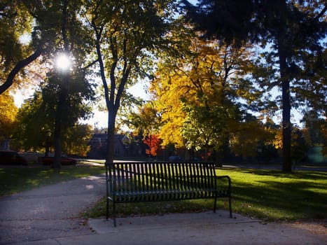 A park bench creates a relazing and tranquil scene among Autumn trees