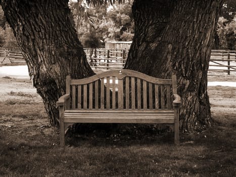 A relazing scene showing a park bench against an old tree in rural America, done in sepia