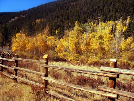 A split rail fence shows a rural country scene in Colorado during Autumn