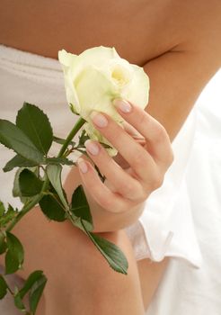 beautiful woman hand with rosebud