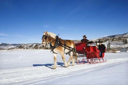 Young Caucasian couple and mid adult man on horse drawn sleigh ride through winter landscape.