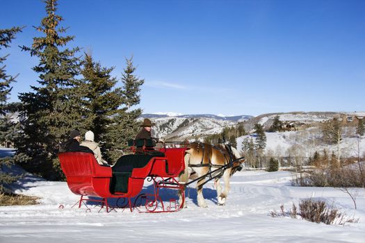 Young Caucasian couple and mid-adult man in horse-drawn sleigh in snow.
