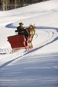 Rear view of man in horse drawn sleigh traveling a snow covered hill.