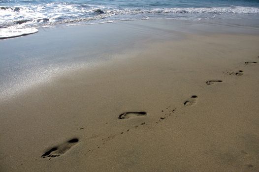 Footprints on the beach of Puerto Escondido