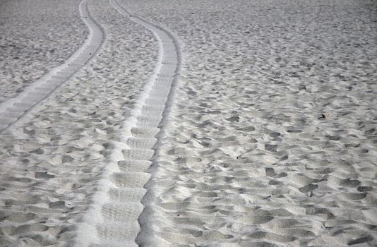 Tire tracks on the beach