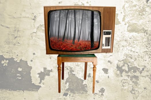 old vintage tv