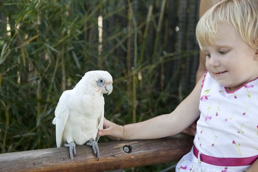 girl and a bif white Parrot