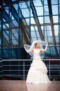 bride under the glass ceiling 