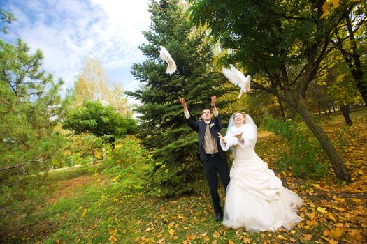 two white pigeons fly to the sky