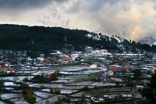 cold winter landscape with snow